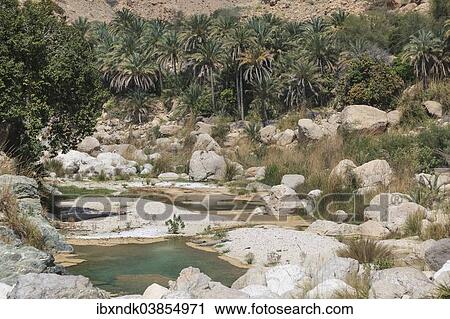 "Wadi Tiwi, surrounded by palm trees, Tiwi, Hajar Mountains, Ash Sharqiyah Region, Oman, Asia" View Large Photo Image Stock Image - "Wadi Tiwi, surrounded by palm trees, Tiwi, Hajar Mountains, Ash Sharqiyah Region, Oman, Asia". Fotosearch