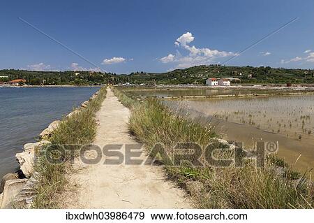 "Walk through the salt works in the nature reserve of Strunjan, Adriatic Coast, Istria, Slovenia, Europe" View Large Photo Image Stock Photo - "Walk through the salt works in the nature reserve of Strunjan, Adriatic Coast, Istria, Slovenia, Europe". Fotosearch