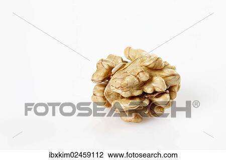 "Walnut (Juglans regia), kernel without the shell" View Large Photo Image Stock Image - "Walnut (Juglans regia), kernel without the shell". Fotosearch