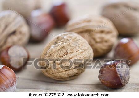 Walnuts and hazelnuts View Large Photo Image Stock Image - Walnuts and hazelnuts. Fotosearch