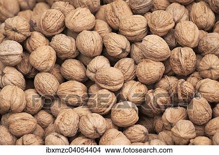 Walnuts View Large Photo Image Picture - Walnuts. Fotosearch