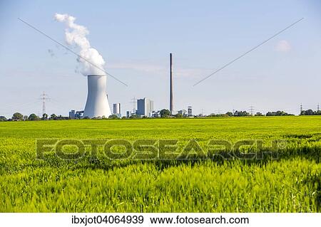 "Walsum STEAG power plant, a coal-fired power station, cooling tower of block 10, Duisburg, Ruhr district, North Rhine-Westphalia, Germany, Europe" View Large Photo Image Stock Photo - "Walsum STEAG power plant, a coal-fired power station, cooling tower of block 10, Duisburg, Ruhr district, North Rhine-Westphalia, Germany, Europe". Fotosearch