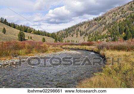 Stock Image - "Warm Springs Creek, downstream, Ketchum, Idaho, USA". Fotosearch