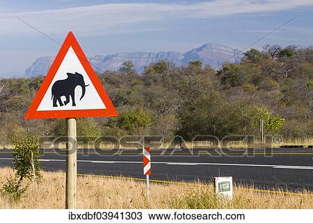 Stock Image - "Warning sign, elephants crossing, South Africa, Africa". Fotosearch