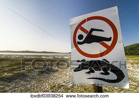 "Warning sign for crocodiles and swimming ban, on the shore, iSimangaliso Wetland Park, Lake St. Lucia, Elephant Coast, KwaZulu-Natal, South Africa, Africa" View Large Photo Image Picture - "Warning sign for crocodiles and swimming ban, on the shore, iSimangaliso Wetland Park, Lake St. Lucia, Elephant Coast, KwaZulu-Natal, South Africa, Africa". Fotosearch