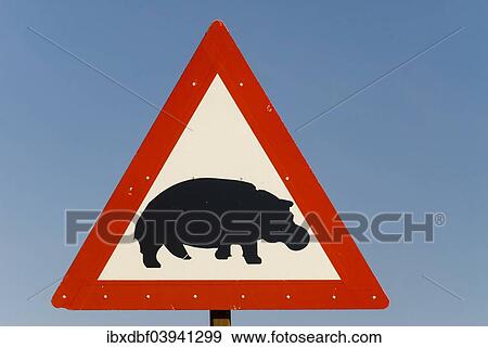 "Warning sign, hippos crossing, South Africa, Africa" View Large Photo Image Stock Photo - "Warning sign, hippos crossing, South Africa, Africa". Fotosearch