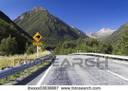 "Warning sign, """"Kiwis next 4km"""" at Greyneys Creek, looking towards Mt. O'Malley, 1703m, and Mt. Oates, 2041m, Canterbury Region, New Zealand, Oceania" View Large Photo Image Stock Photo - "Warning sign, """"Kiwis next 4km"""" at Greyneys Creek, looking towards Mt. O'Malley, 1703m, and Mt. Oates, 2041m, Canterbury Region, New Zealand, Oceania". Fotosearch