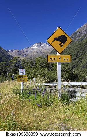 Stock Photo - "Warning sign, """"Kiwis next 4km"""" at Greyneys Creek, looking towards Mt. Oates, 2041m, Canterbury Region, New Zealand, Oceania". Fotosearch
