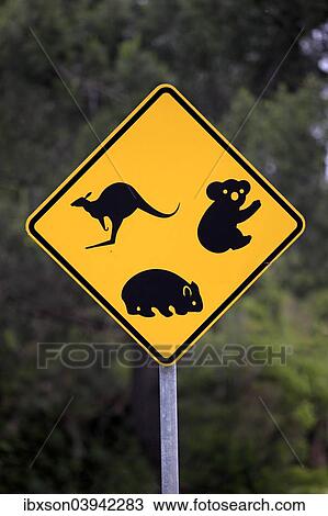 Stock Image - "Warning sign, koala, wombat, kangaroo, Victoria, Australia, Oceania". Fotosearch