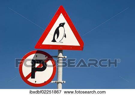 "Warning sign, penguins, Cape Agulhas, Western Cape, South Africa, Africa" View Large Photo Image Stock Photo - "Warning sign, penguins, Cape Agulhas, Western Cape, South Africa, Africa". Fotosearch