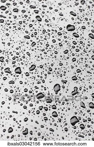 Water drops on car paint View Large Photo Image Stock Photograph - Water drops on car paint. Fotosearch