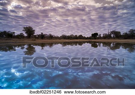 "Water hole, Kruger National Park, Limpopo, South Africa, Africa" View Large Photo Image Stock Photograph - "Water hole, Kruger National Park, Limpopo, South Africa, Africa". Fotosearch
