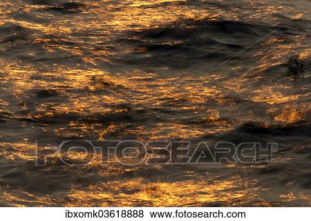 "Water in the morning light, Kerala, India, Asia" View Large Photo Image Stock Photo - "Water in the morning light, Kerala, India, Asia". Fotosearch