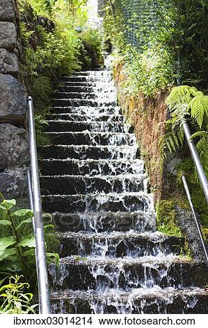 "Water running down a stone staircase after a heavy rainfall, Funchal, Boaventura, Madeira, Portugal, Europe" View Large Photo Image Picture - "Water running down a stone staircase after a heavy rainfall, Funchal, Boaventura, Madeira, Portugal, Europe". Fotosearch