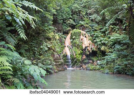 "Waterfall, hot spring, Caldeira Velha, Sao Miguel, Azores, Portugal, Europe" View Large Photo Image Stock Image - "Waterfall, hot spring, Caldeira Velha, Sao Miguel, Azores, Portugal, Europe". Fotosearch