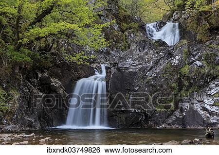 "Waterfall in a forest, Drumnadrochit, Scotland, United Kingdom, Europe" View Large Photo Image Stock Photograph - "Waterfall in a forest, Drumnadrochit, Scotland, United Kingdom, Europe". Fotosearch