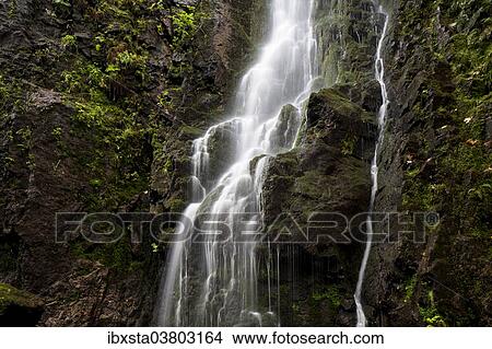 "Waterfall in the forest, Burgbach waterfall near Schapbach, Black Forest, Baden-Wurttemberg, Germany, Europe" View Large Photo Image Picture - "Waterfall in the forest, Burgbach waterfall near Schapbach, Black Forest, Baden-Wurttemberg, Germany, Europe". Fotosearch