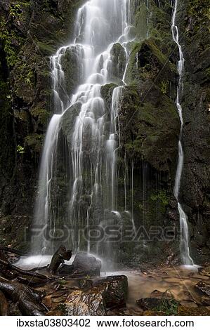Stock Image - "Waterfall in the forest, Burgbach waterfall near Schapbach, Black Forest, Baden-Wurttemberg, Germany, Europe". Fotosearch