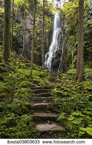 Stock Image - "Waterfall in the forest, Burgbach waterfall near Schapbach, Black Forest, Baden-Wurttemberg, Germany, Europe". Fotosearch