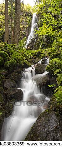 "Waterfall in the forest, Burgbach waterfall near Schapbach, Black Forest, Baden-Wurttemberg, Germany, Europe" View Large Photo Image Stock Photo - "Waterfall in the forest, Burgbach waterfall near Schapbach, Black Forest, Baden-Wurttemberg, Germany, Europe". Fotosearch
