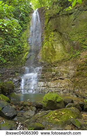 Stock Image - "Waterfall in the jungle, rocks, Puntarenas Province, Costa Rica, North America". Fotosearch