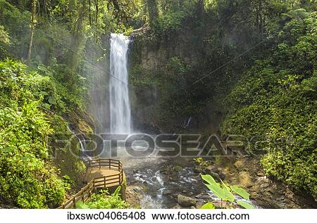 "Waterfall in the rainforest, Vara Blanca, Alajuela province, Costa Rica, North America" View Large Photo Image Stock Photo - "Waterfall in the rainforest, Vara Blanca, Alajuela province, Costa Rica, North America". Fotosearch