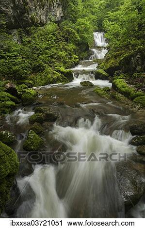 "Waterfall in Twannbachschlucht gorge in the Swiss Jura Mountains, Biel, Canton of Solothurn, Switzerland, Europe" View Large Photo Image Stock Image - "Waterfall in Twannbachschlucht gorge in the Swiss Jura Mountains, Biel, Canton of Solothurn, Switzerland, Europe". Fotosearch