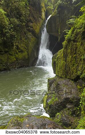 "Waterfall, moss-covered rocks, Rio Savegre, Los Quetzales National Park, San Gerardo de Dota, San Jose Province, Costa Rica, North America" View Large Photo Image Stock Photo - "Waterfall, moss-covered rocks, Rio Savegre, Los Quetzales National Park, San Gerardo de Dota, San Jose Province, Costa Rica, North America". Fotosearch