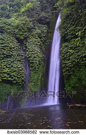 Stock Image - "Waterfall of Munduk, Bali, Indonesia, Asia". Fotosearch
