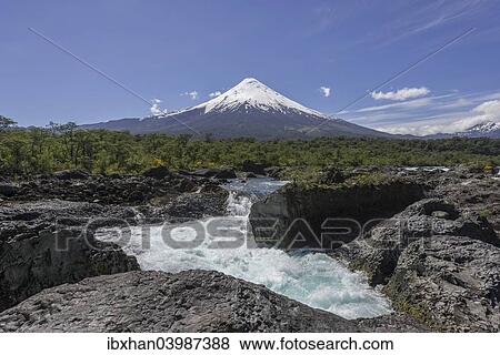 "Waterfall of the Rio Petrohue and the Osorno volcano, Parc Nacional Vicente Perez Ros, Puerto Varas, Los Lagos Region, Chile, South America" View Large Photo Image Stock Photo - "Waterfall of the Rio Petrohue and the Osorno volcano, Parc Nacional Vicente Perez Ros, Puerto Varas, Los Lagos Region, Chile, South America". Fotosearch