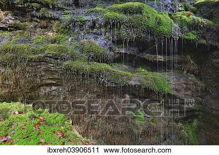 "Waterfall on the Grossen Arbersee lake, Bavarian Forest, Bavaria, Germany, Europe" View Large Photo Image Stock Image - "Waterfall on the Grossen Arbersee lake, Bavarian Forest, Bavaria, Germany, Europe". Fotosearch