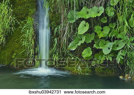Stock Image - "Waterfall, Plitvice Lakes National Park, Plitvice Jezera, Lika-Senj, Croatia, Europe". Fotosearch