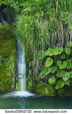 "Waterfall, Plitvice Lakes National Park, Plitvice Jezera, Lika-Senj, Croatia, Europe" View Large Photo Image Stock Image - "Waterfall, Plitvice Lakes National Park, Plitvice Jezera, Lika-Senj, Croatia, Europe". Fotosearch