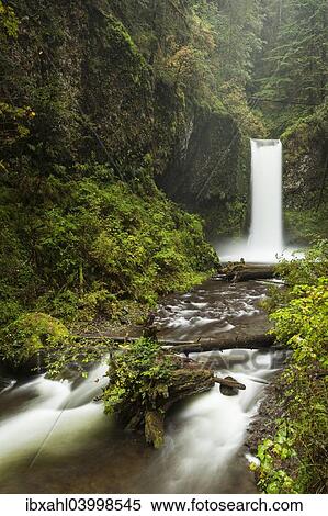 "Waterfall Wiesendanger Falls in the Columbia River Gorge, Portland, Oregon, United States, North America" View Large Photo Image Stock Photography - "Waterfall Wiesendanger Falls in the Columbia River Gorge, Portland, Oregon, United States, North America". Fotosearch
