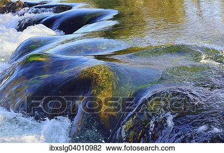 "Waterfall with moss-covered rocks, Leitzach river, Leitzachtal valley, near Fischbachau, alpine upland, Bavaria, Germany, Europe" View Large Photo Image Stock Image - "Waterfall with moss-covered rocks, Leitzach river, Leitzachtal valley, near Fischbachau, alpine upland, Bavaria, Germany, Europe". Fotosearch