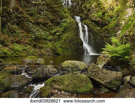 "Waterfall with rocks, Falkau, Black Forest, Baden-Wurttemberg, Germany, Europe" View Large Photo Image Stock Image - "Waterfall with rocks, Falkau, Black Forest, Baden-Wurttemberg, Germany, Europe". Fotosearch