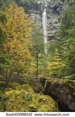"Watson Falls, waterfall in the Southern Cascades, Cascade Range, Roseburg, Oregon, United States, North America" View Large Photo Image Stock Image - "Watson Falls, waterfall in the Southern Cascades, Cascade Range, Roseburg, Oregon, United States, North America". Fotosearch