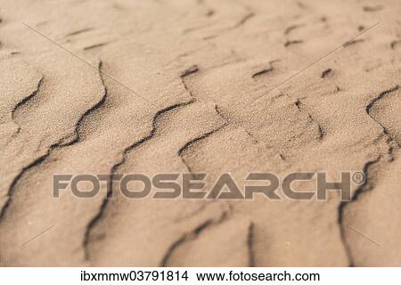"Wave pattern in the sand, Sossusvlei, Namib-Naukluft National Park, Namibia, Africa" View Large Photo Image Picture - "Wave pattern in the sand, Sossusvlei, Namib-Naukluft National Park, Namibia, Africa". Fotosearch
