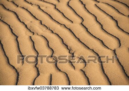 "Wave pattern in the sand, Sossusvlei, Namib Naukluft Park, Namibia, Africa" View Large Photo Image Stock Image - "Wave pattern in the sand, Sossusvlei, Namib Naukluft Park, Namibia, Africa". Fotosearch