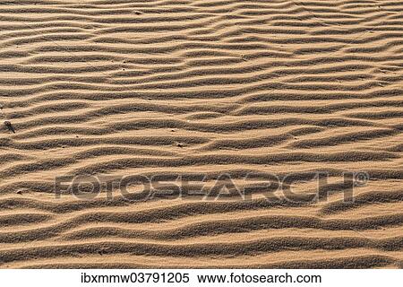 "Wave pattern in the sand, Sossusvlei, Namib Desert, Namibia, Africa" View Large Photo Image Stock Photography - "Wave pattern in the sand, Sossusvlei, Namib Desert, Namibia, Africa". Fotosearch