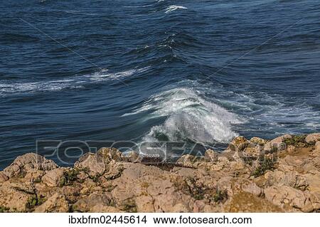 "Waves, Carrapateira, Algarve, West Coast, Portugal, Atlantic, Europe" View Large Photo Image Picture - "Waves, Carrapateira, Algarve, West Coast, Portugal, Atlantic, Europe". Fotosearch