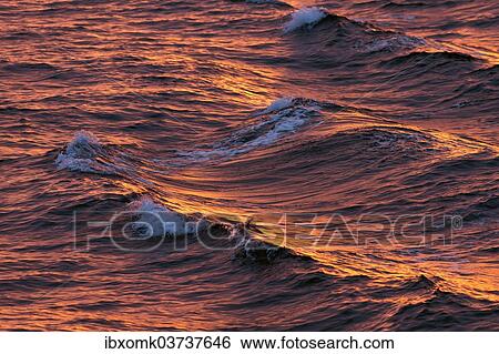 "Waves in the evening light, Arctic Ocean, Spitsbergen Island, Svalbard Archipelago, Svalbard and Jan Mayen, Norway, Europe" View Large Photo Image Stock Photograph - "Waves in the evening light, Arctic Ocean, Spitsbergen Island, Svalbard Archipelago, Svalbard and Jan Mayen, Norway, Europe". Fotosearch