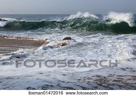 "Waves near Kovalam, Malabar Coast, Malabar, Kerala, southern India, India, Asia" View Large Photo Image Stock Photograph - "Waves near Kovalam, Malabar Coast, Malabar, Kerala, southern India, India, Asia". Fotosearch