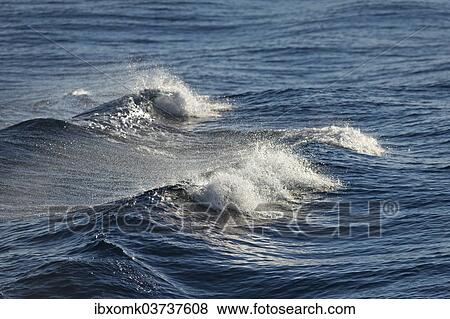 "Waves, sea spray, Arctic Ocean, Spitsbergen Island, Svalbard Archipelago, Svalbard and Jan Mayen, Norway, Europe" View Large Photo Image Stock Photo - "Waves, sea spray, Arctic Ocean, Spitsbergen Island, Svalbard Archipelago, Svalbard and Jan Mayen, Norway, Europe". Fotosearch