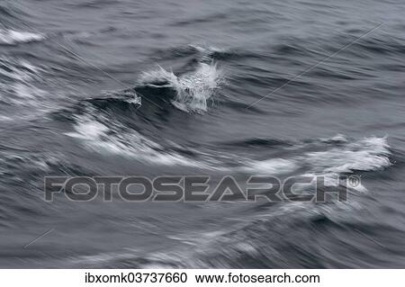 "Waves, Spitsbergen Island, Svalbard Archipelago, Svalbard and Jan Mayen, Norway, Europe" View Large Photo Image Stock Image - "Waves, Spitsbergen Island, Svalbard Archipelago, Svalbard and Jan Mayen, Norway, Europe". Fotosearch