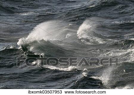 "Waves with spray, on the high seas, Baltic Sea, Germany, Europe" View Large Photo Image Stock Image - "Waves with spray, on the high seas, Baltic Sea, Germany, Europe". Fotosearch