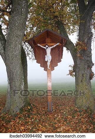 "Wayside cross with a figure of Jesus Christ, in the autumn mist between Horse-Chestnut Trees (Aesculus hippocastanum), Allgau, Bavaria, Germany, Europe" View Large Photo Image Stock Image - "Wayside cross with a figure of Jesus Christ, in the autumn mist between Horse-Chestnut Trees (Aesculus hippocastanum), Allgau, Bavaria, Germany, Europe". Fotosearch