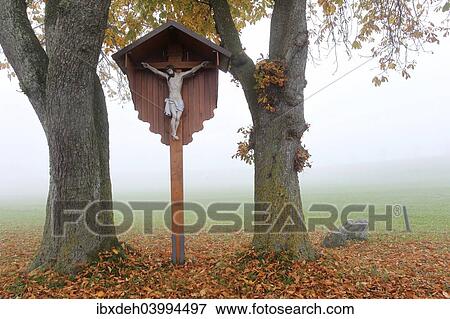 "Wayside cross with a figure of Jesus Christ, in the autumn mist between Horse-Chestnut Trees (Aesculus hippocastanum), Allgau, Bavaria, Germany, Europe" View Large Photo Image Stock Photo - "Wayside cross with a figure of Jesus Christ, in the autumn mist between Horse-Chestnut Trees (Aesculus hippocastanum), Allgau, Bavaria, Germany, Europe". Fotosearch