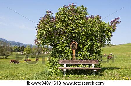 "Wayside shrine, Mondsee, Salzkammergut, Upper Austria, Austria, Europe" View Large Photo Image Stock Photo - "Wayside shrine, Mondsee, Salzkammergut, Upper Austria, Austria, Europe". Fotosearch