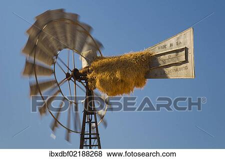 Stock Photo - "Weaver's nest on a windmill, Kenhardt, Northern Cape, South Africa, Africa". Fotosearch